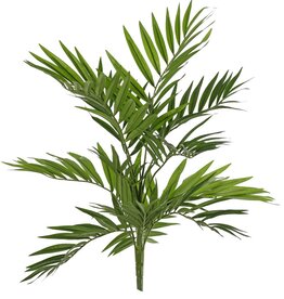 Palmera doméstica (Chamaedora elegans) con 12 retoños y 196 hojas, resistente a los rayos UV, sin maceta, 65 cm