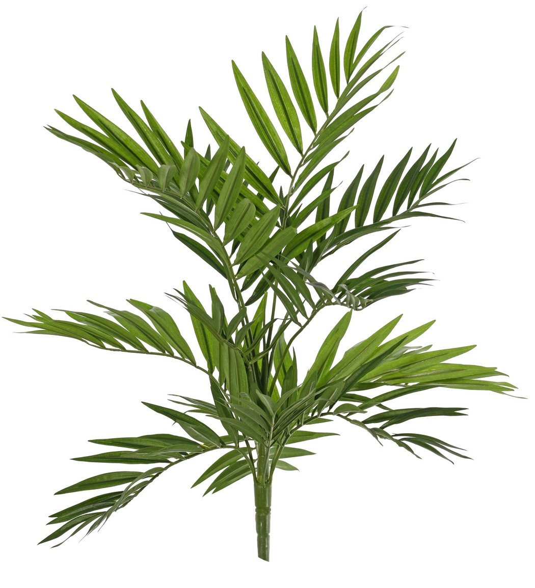 Stubenpalme (Chamaedora elegans) mit 12 Ablegern & 196 Blättern, UV-beständig, ohne Topf, 65 cm