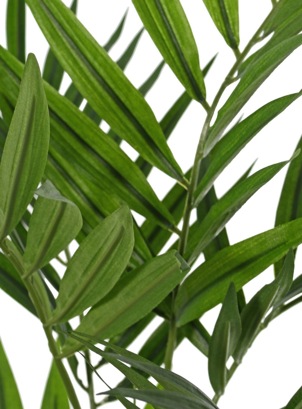 Parlour palm (Chamaedora elegans) met 12 uitlopers & 196 bladeren, UV bestendig, zonder pot, 65 cm