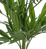 Parlour palm (Chamaedora elegans) met 12 uitlopers & 196 bladeren, UV bestendig, zonder pot, 65 cm