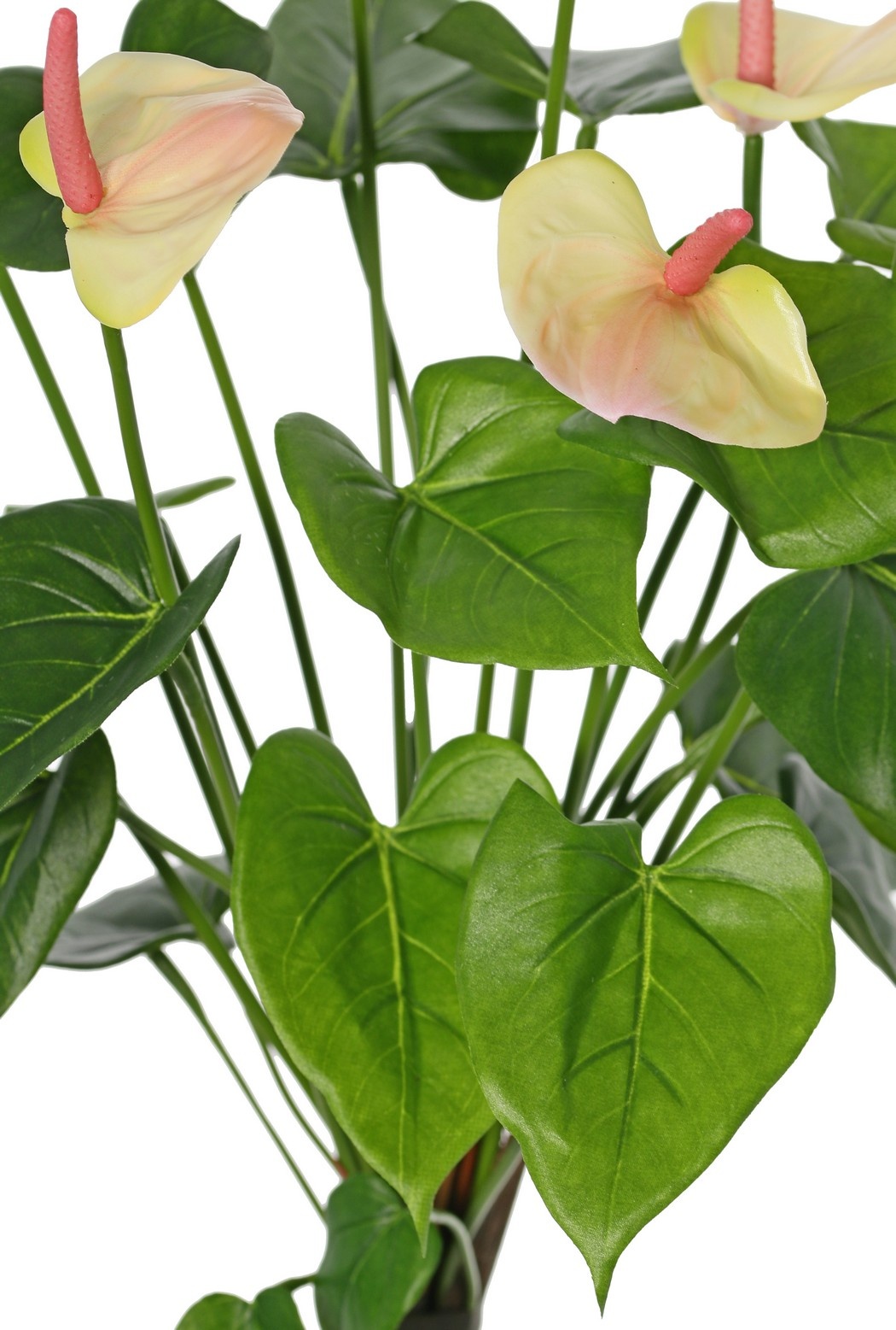 Anthurium (Aronskelk) met 7 plastic bloemen & 22 polyester bladeren, 53 cm