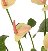 Anthurium (Aronskelk) met 7 plastic bloemen & 22 polyester bladeren, 53 cm