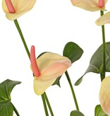 Anthurium (Arum) mit 7 Kunststoffblüten und 22 Polyesterblättern, 53 cm