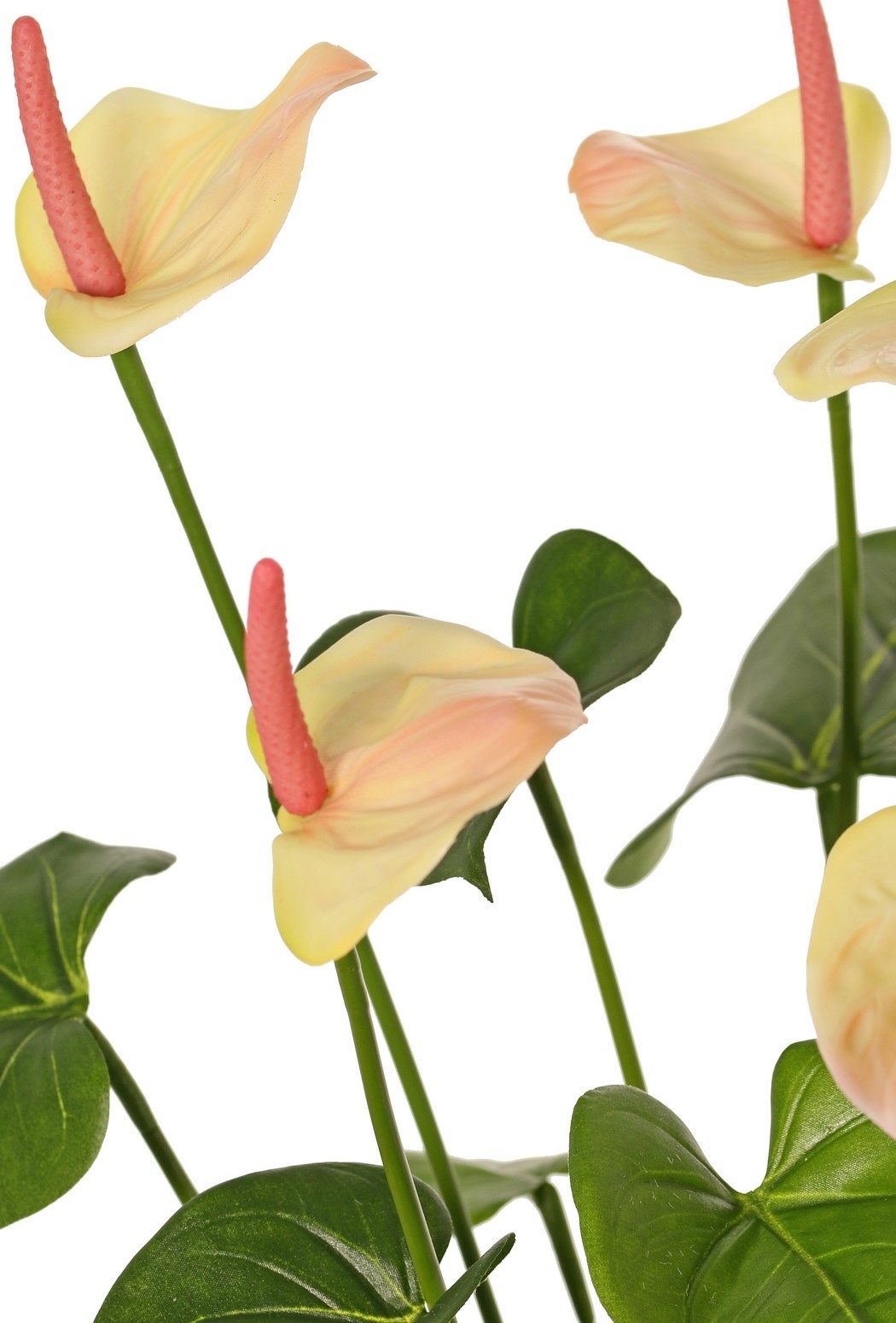 Anthurium (Arum) with 7 plastic flowers & 22 polyester leaves, 53 cm