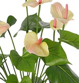 Anthurium (Arum) mit 7 Kunststoffblüten und 22 Polyesterblättern, 53 cm