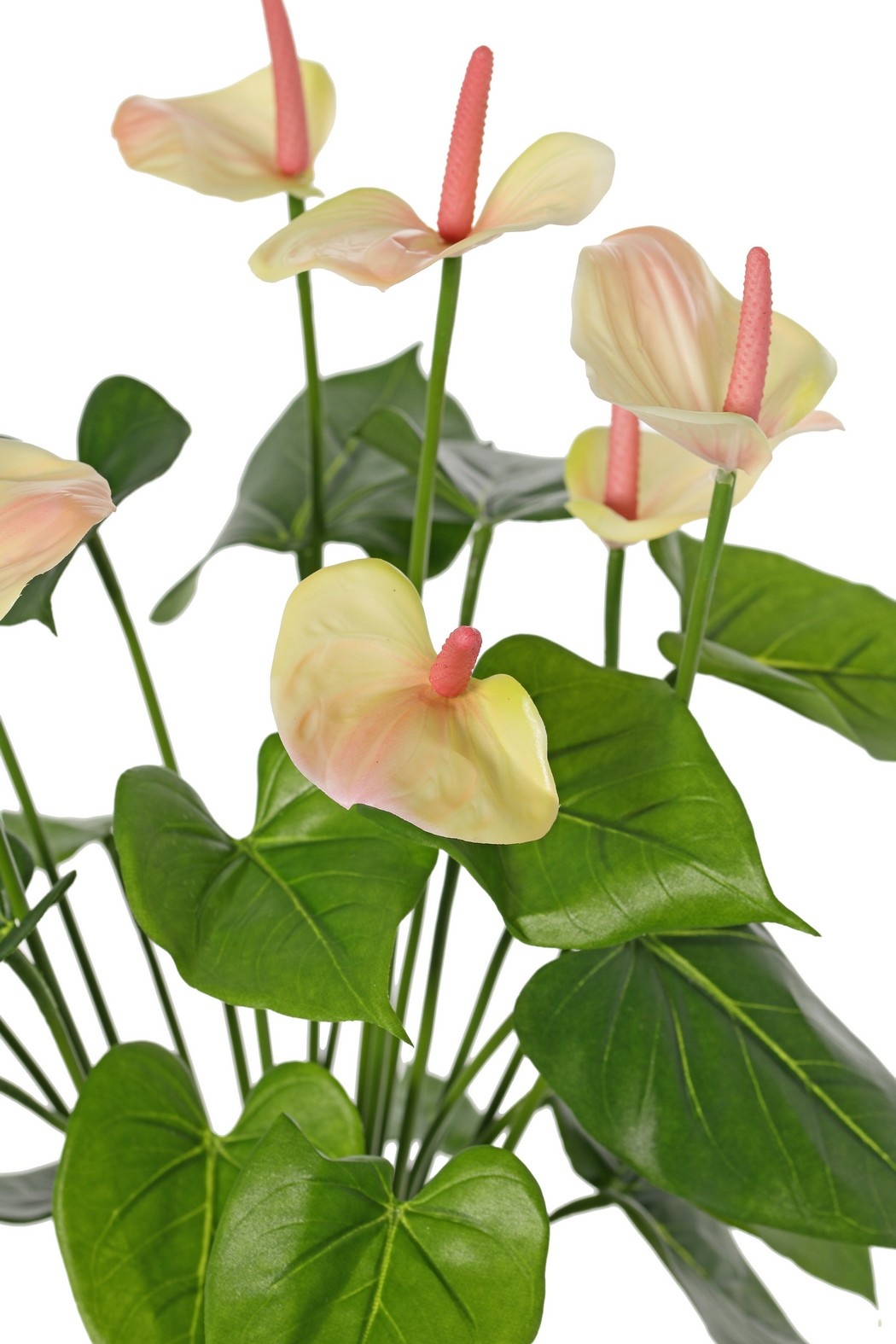 Anthurium (Arum) con 7 flores de plástico y 22 hojas de poliéster, 53 cm