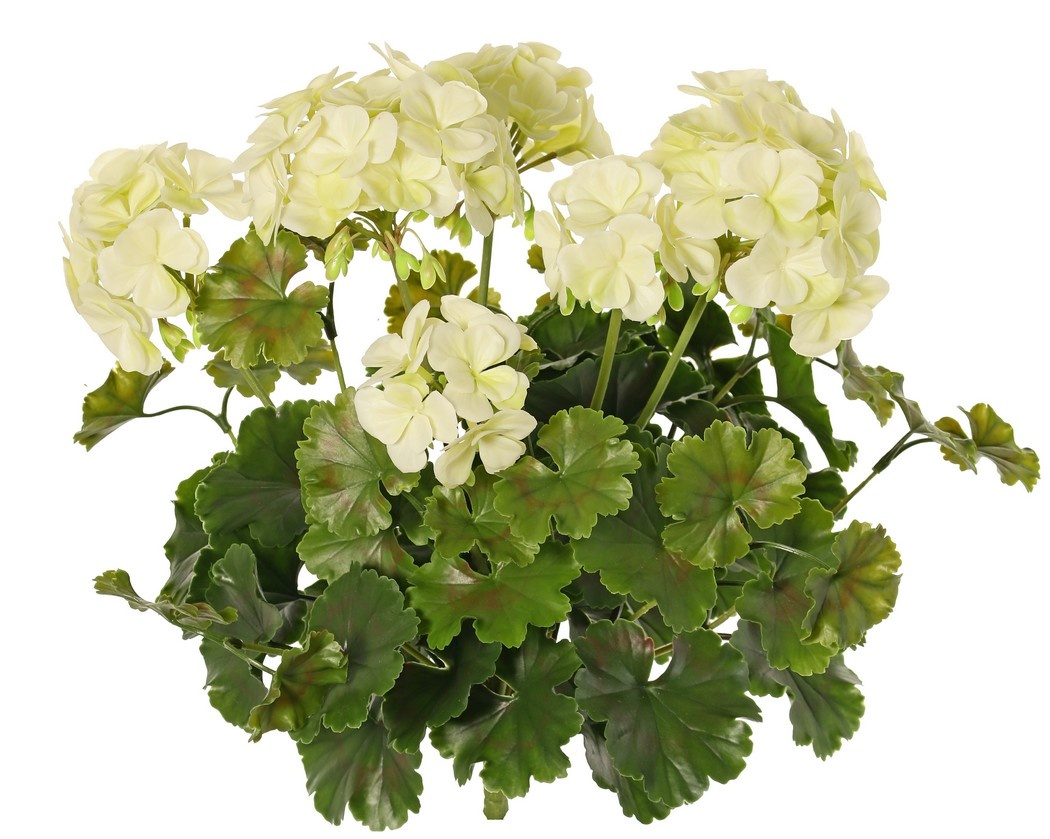 Geranium Franse (Pelargonium grandifl.), 72 bloemen & 58 blad, UV & H2O bestending, Ø 30 H 39 cm