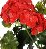 Geranium Franse (Pelargonium grandifl.), 72 bloemen & 58 blad, UV & H2O bestending, Ø 30 H 39 cm