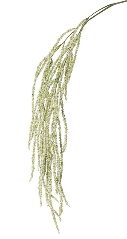 Willow catkin (polystyrene) 38 catkins, 106 cm