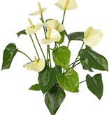 Anthurium (Arum) con 7 flores de plástico y 22 hojas de poliéster, 53 cm