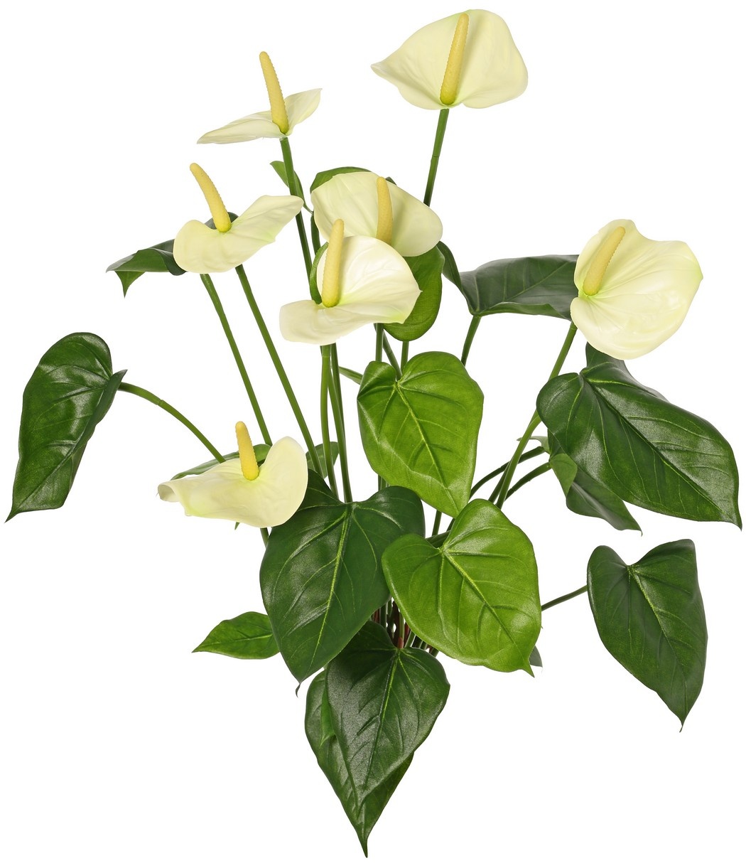 Anthurium (Arum) con 7 flores de plástico y 22 hojas de poliéster, 53 cm