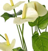 Anthurium (Arum) with 7 plastic flowers & 22 polyester leaves, 53 cm