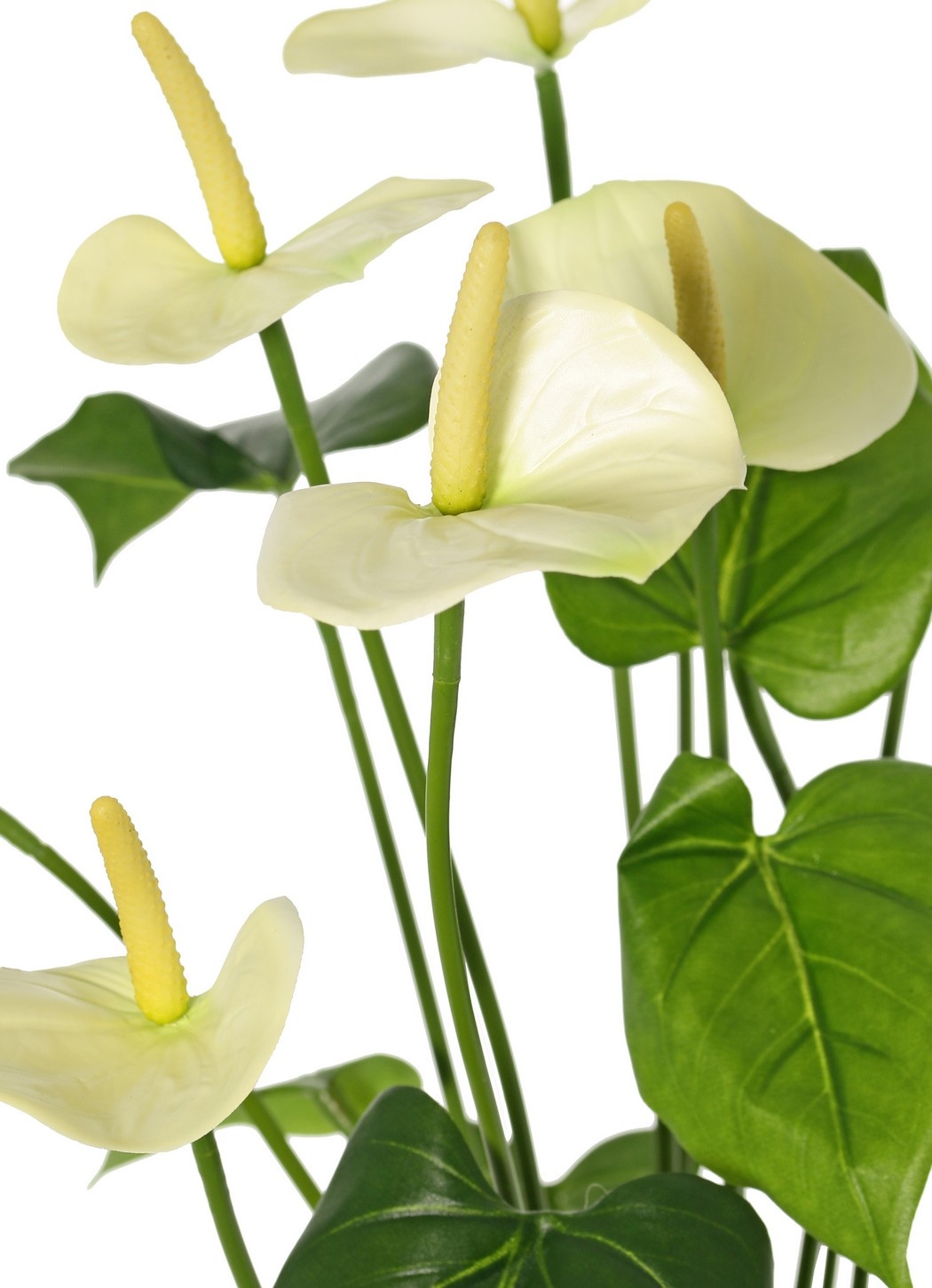 Anthurium (Aronskelk) met 7 plastic bloemen & 22 polyester bladeren, 53 cm