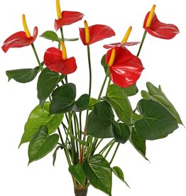 Anthurium (Arum) mit 7 Kunststoffblüten und 22 Polyesterblättern, 53 cm