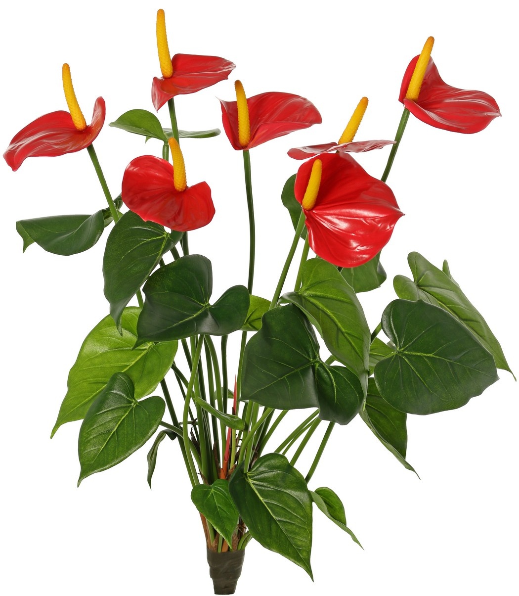 Anthurium (Aronskelk) met 7 plastic bloemen & 22 polyester bladeren, 53 cm