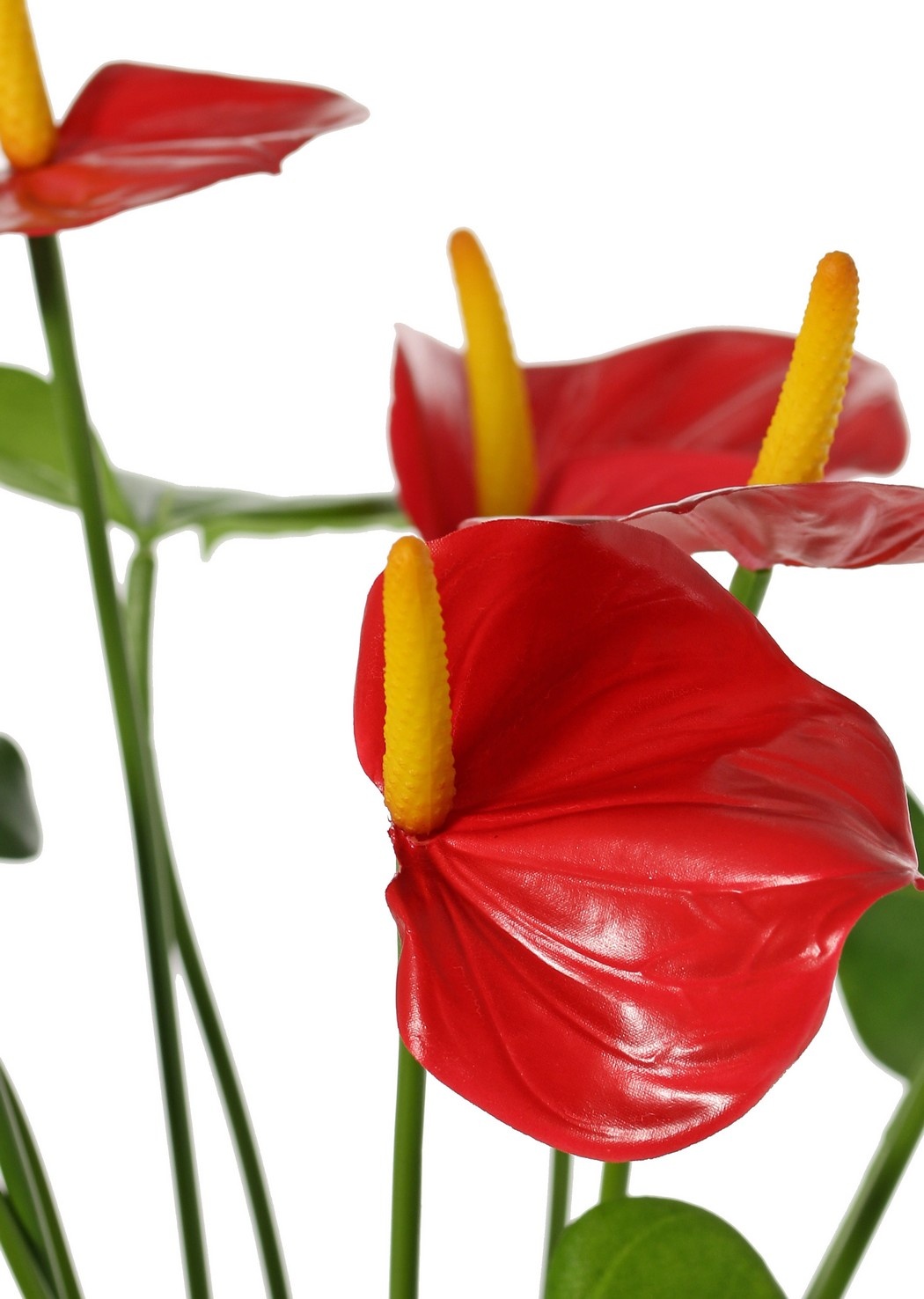 Anthurium (Aronskelk) met 7 plastic bloemen & 22 polyester bladeren, 53 cm