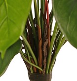 Anthurium (Aronskelk) met 7 plastic bloemen & 22 polyester bladeren, 53 cm