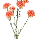 Anjer (Dianthus) 4x vertakt met 7 bloemen (Ø 5cm/ Ø 2 cm) & 1 knop, 63 cm