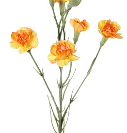 Carnation (Dianthus) 4-fold branched with 7 flowers (Ø 5cm/ Ø 2 cm) & 1 bud, 63 cm