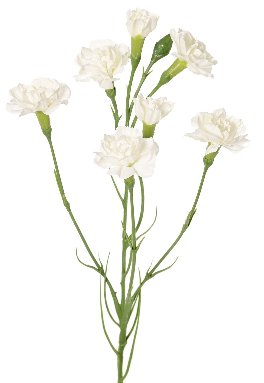 Carnation (Dianthus) 4-fold branched with 7 flowers (Ø 5cm/ Ø 2 cm) & 1 bud, 63 cm