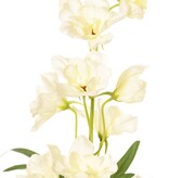 Delphinium (Ridderspoor) met 7 bloemen (Ø 5 cm), 3 knoppen & 1 blad, 50 cm