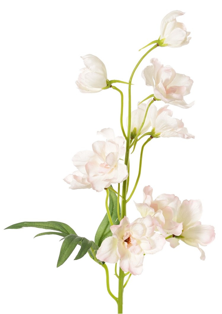 Delphinium (Ridderspoor) met 7 bloemen (Ø 5 cm), 3 knoppen & 1 blad, 50 cm