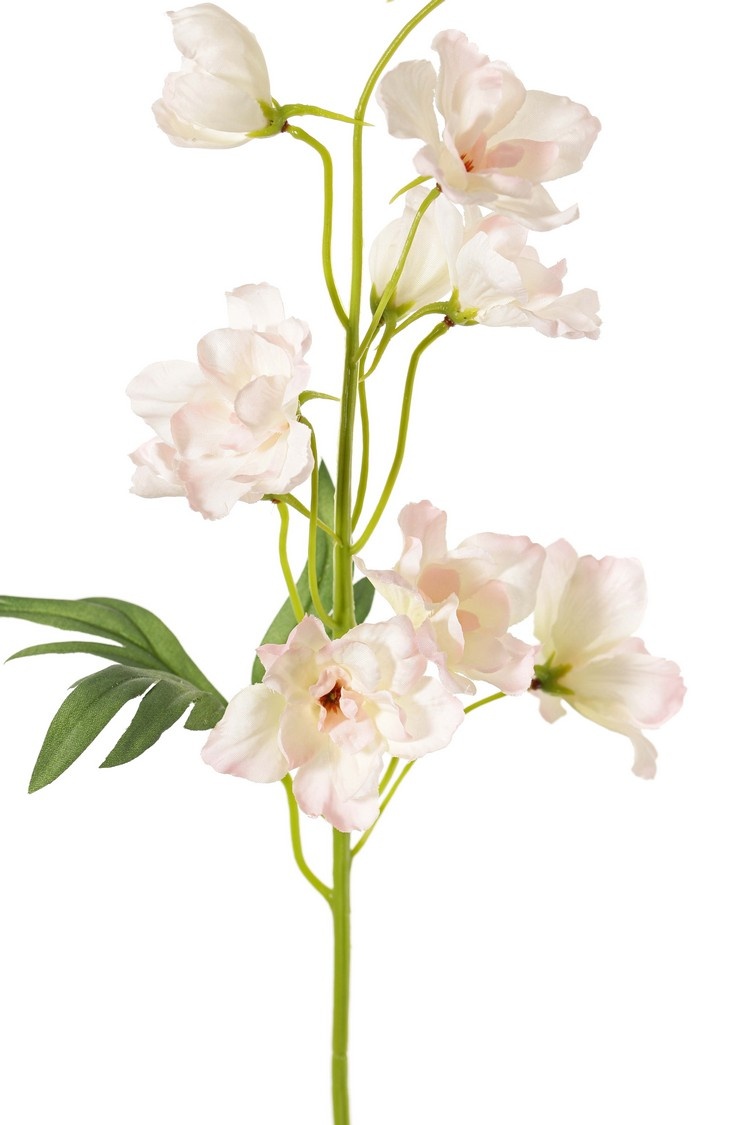 Larkspur (Delphinium) con 7 flores (Ø 5 cm), 3 capullos y 1 hoja, 50 cm