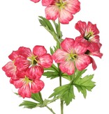Geranium (storksbill) 'Garden Art' with 9 flowers (approx. Ø 6 cm) and 4 sets of leaves (20 pieces), 70 cm