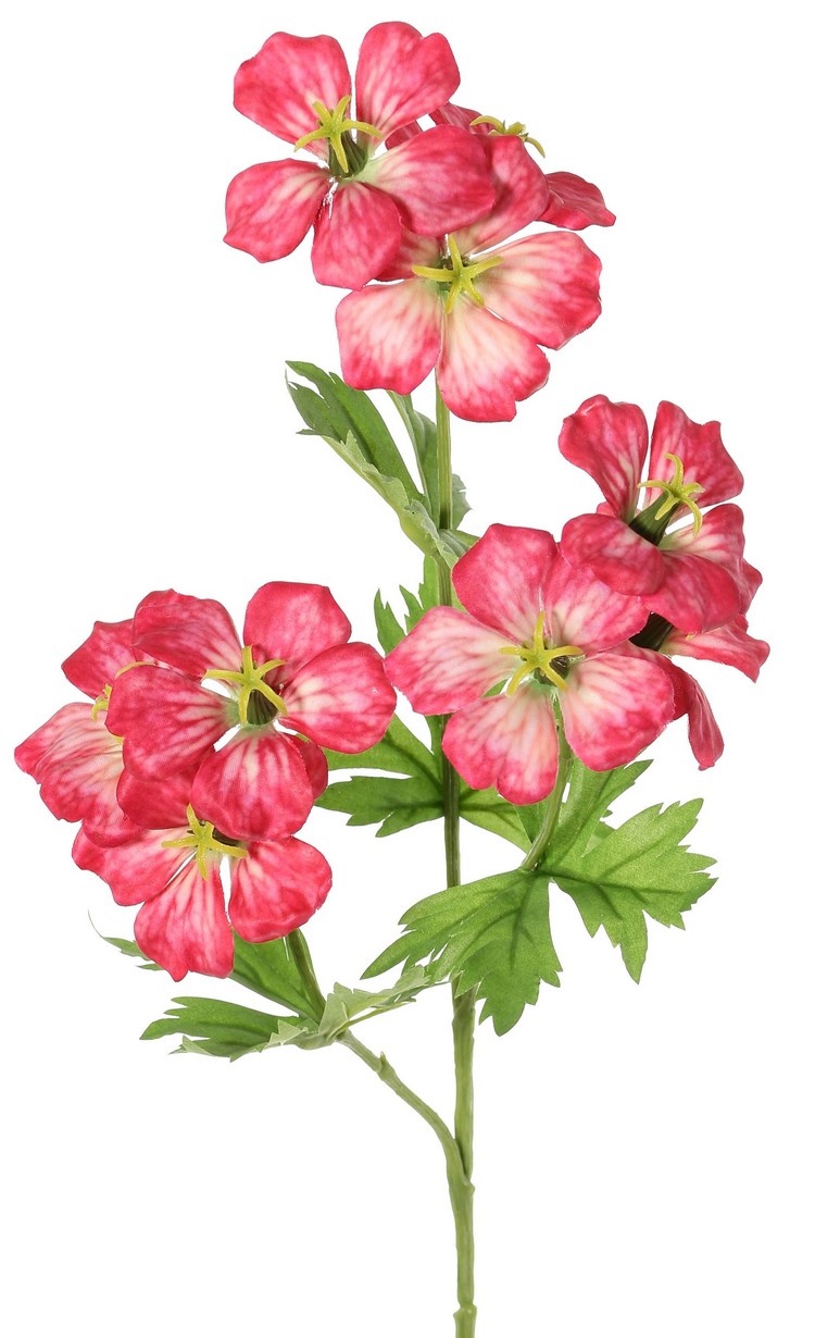 Geranium (storksbill) 'Garden Art' with 9 flowers (approx. Ø 6 cm) and 4 sets of leaves (20 pieces), 70 cm