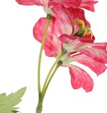 Geranium (Ooievaarsbek) 'Garden Art' met 9 bloemen (ca. Ø 6 cm) en 4 bladsets (20 stuks), 70 cm