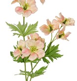 Geranio (cigüeña) 'Garden Art' con 9 flores (aprox. Ø 6 cm) y 4 juegos de hojas (20 piezas), 70 cm