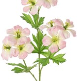 Geranie (Storchenschnabel) 'Garden Art' mit 9 Blüten (ca. Ø 6 cm) und 4 Blattsätzen (20 Stück), 70 cm