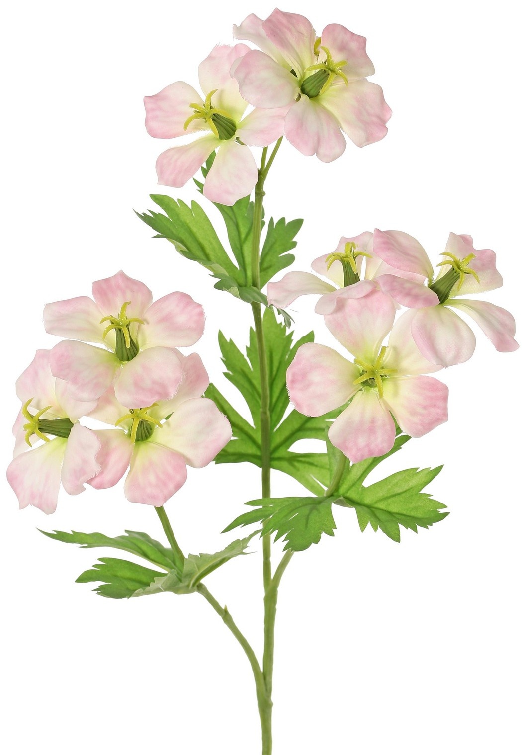 Geranium (storksbill) 'Garden Art' with 9 flowers (approx. Ø 6 cm) and 4 sets of leaves (20 pieces), 70 cm