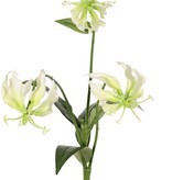 Lilie gloriosa (Kletterlilie) 'mini', mit 3 Polyesterblüten & 4 Blättern, 50 cm