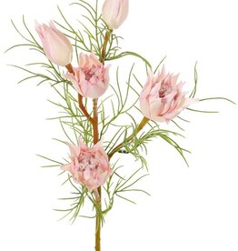 Protea small (sugar beard) with 3 flowers & 2 buds and 12 plastic leaves, 60 cm