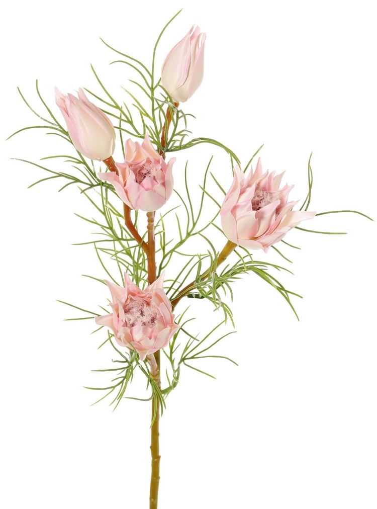 Protea klein (Suikerbaard) met 3 bloemen & 2 knoppen en 12 plastic bladeren, 60 cm