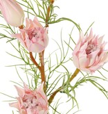 Protea small (sugar beard) with 3 flowers & 2 buds and 12 plastic leaves, 60 cm