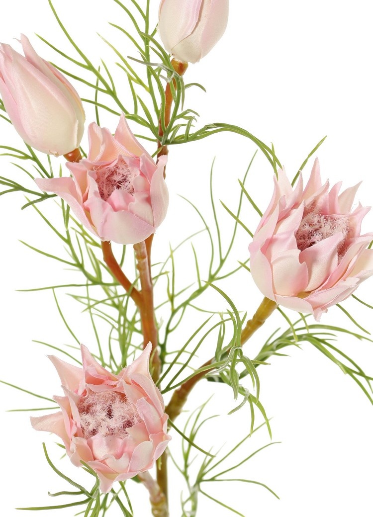 Protea klein (Suikerbaard) met 3 bloemen & 2 knoppen en 12 plastic bladeren, 60 cm