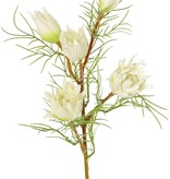 Protea klein (Suikerbaard) met 3 bloemen & 2 knoppen en 12 plastic bladeren, 60 cm