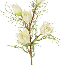 Protea klein (Suikerbaard) met 3 bloemen & 2 knoppen en 12 plastic bladeren, 60 cm