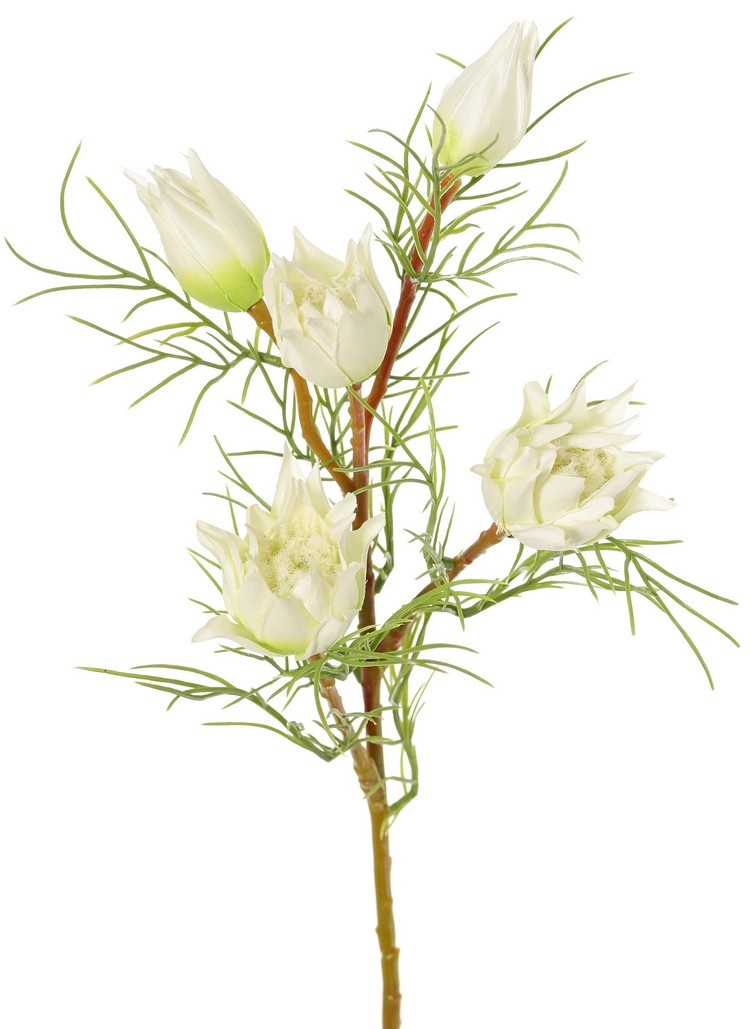 Protea pequeña (barba de azúcar) con 3 flores y 2 capullos y 12 hojas de plástico, 60 cm