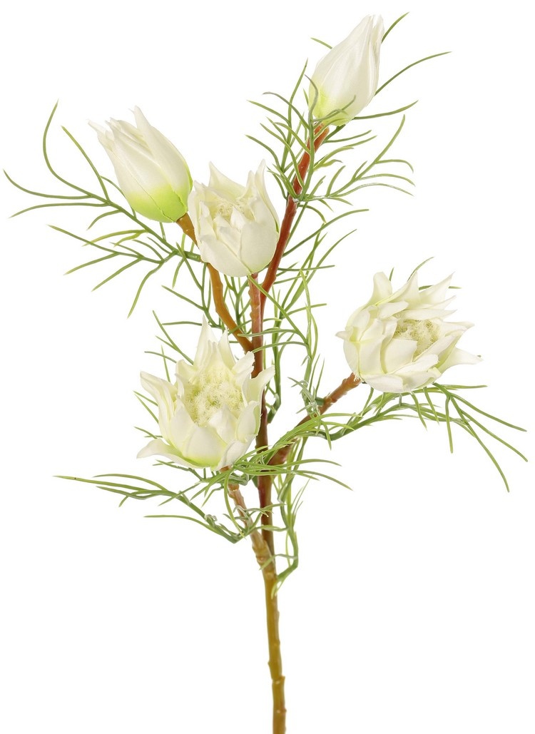 Protea small (sugar beard) with 3 flowers & 2 buds and 12 plastic leaves, 60 cm