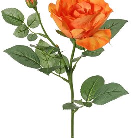 Rose 'Garden Art' mit 1 Blüte Ø 11 cm, 1 Knospe Ø 2 cm & 20 Blättern, 65 cm