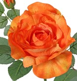 Roos (Rosa) 'Garden art' met 1 bloem Ø 11 cm, 1 knop Ø 2 cm & 20 bladeren, 65 cm