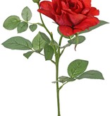 Rosa 'Garden Art' con 1 flor Ø 11 cm, 1 capullo Ø 2 cm y 20 hojas, 65 cm