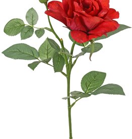Rose 'Garden Art' mit 1 Blüte Ø 11 cm, 1 Knospe Ø 2 cm & 20 Blättern, 65 cm