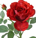 Rose 'Garden Art' with 1 flower Ø 11 cm, 1 bud Ø 2 cm & 20 leaves, 65 cm