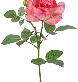 Rose 'Garden Art' with 1 flower Ø 11 cm, 1 bud Ø 2 cm & 20 leaves, 65 cm