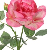Roos (Rosa) 'Garden art' met 1 bloem Ø 11 cm, 1 knop Ø 2 cm & 20 bladeren, 65 cm