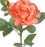 Rose 'Garden Art' with 1 flower Ø 11 cm, 1 bud Ø 2 cm & 20 leaves, 65 cm